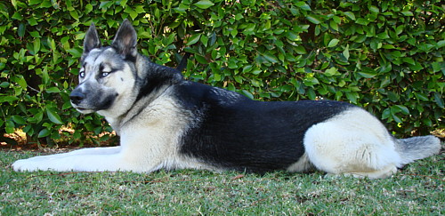 sierra von alpen resting